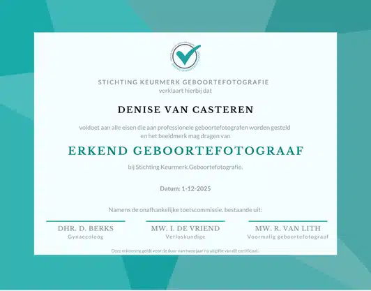 Certificaat Denise Van Casteren High